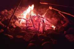IMG-20191130-WA0013