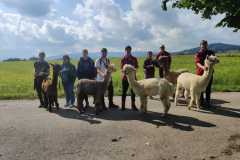 IMG-20210903-WA0023