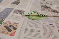 WhatsApp-Image-2023-03-09-at-21.08.38-3