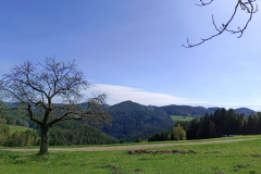 IMG_20240406_111614