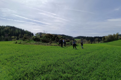 IMG_20240406_154302
