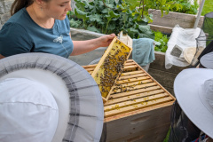 PXL_20250521_165702767