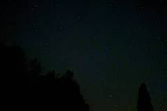 8ee0e6ee-4dae-4de2-8545-c4e6d9c78faf-1
